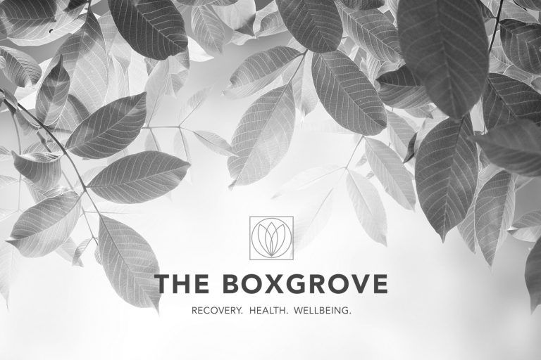 Boxgrove 13