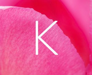 KPR home page image 2